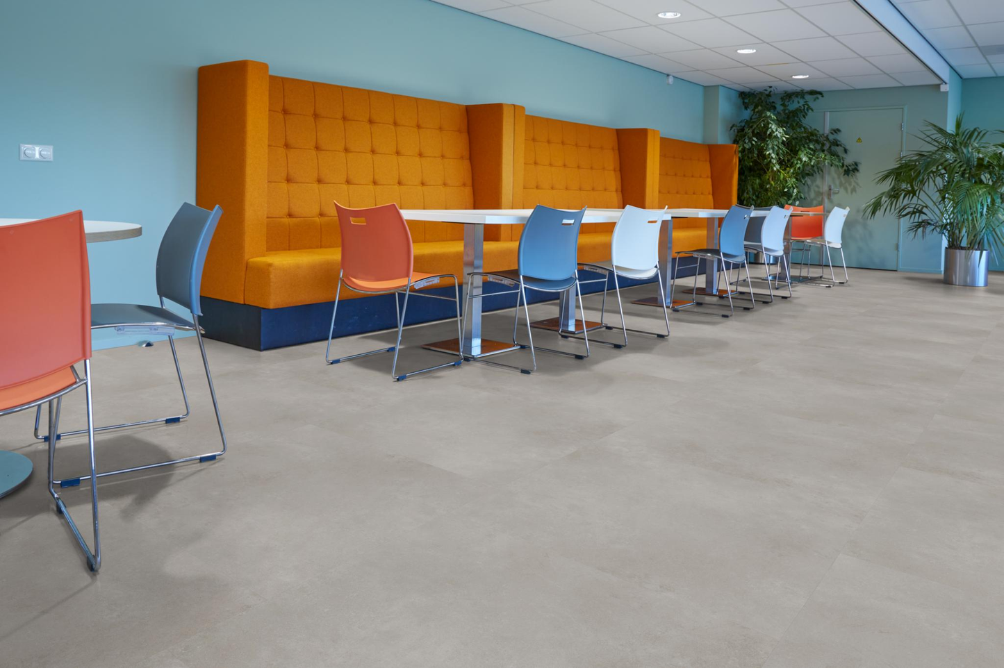 P341 XL dryback grey