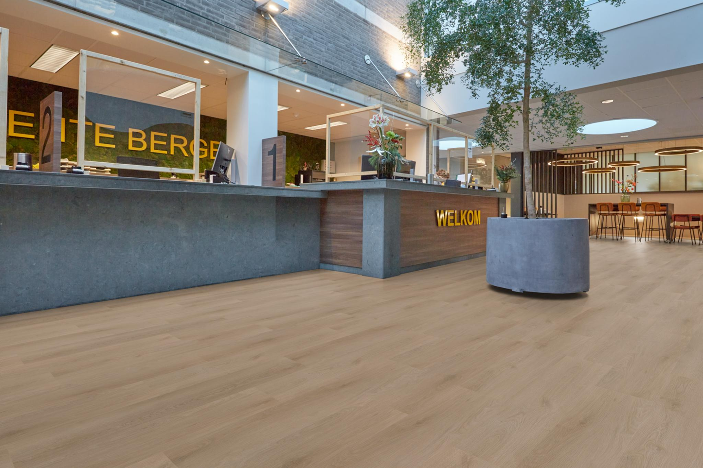 P440 dryback dark oak