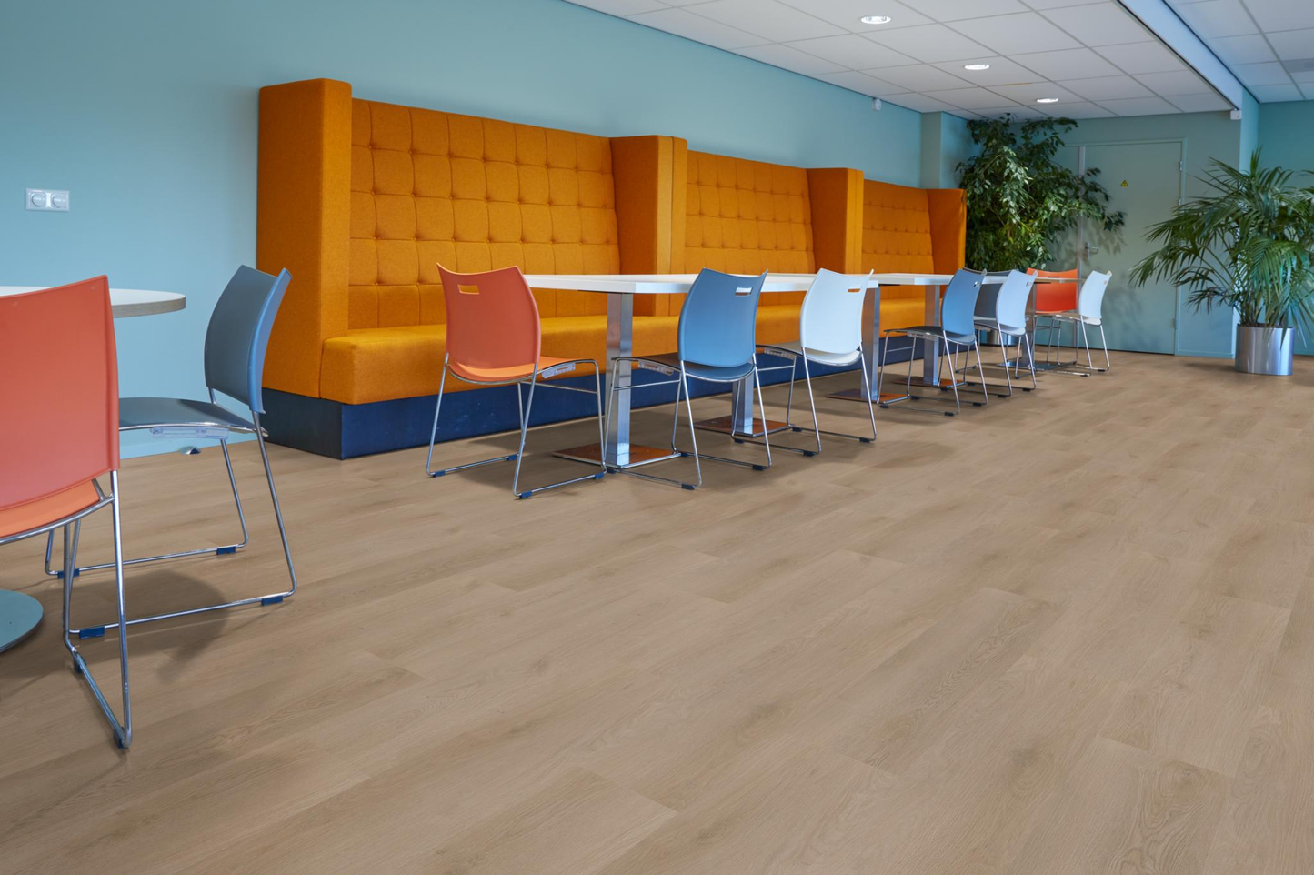 P440 dryback dark oak