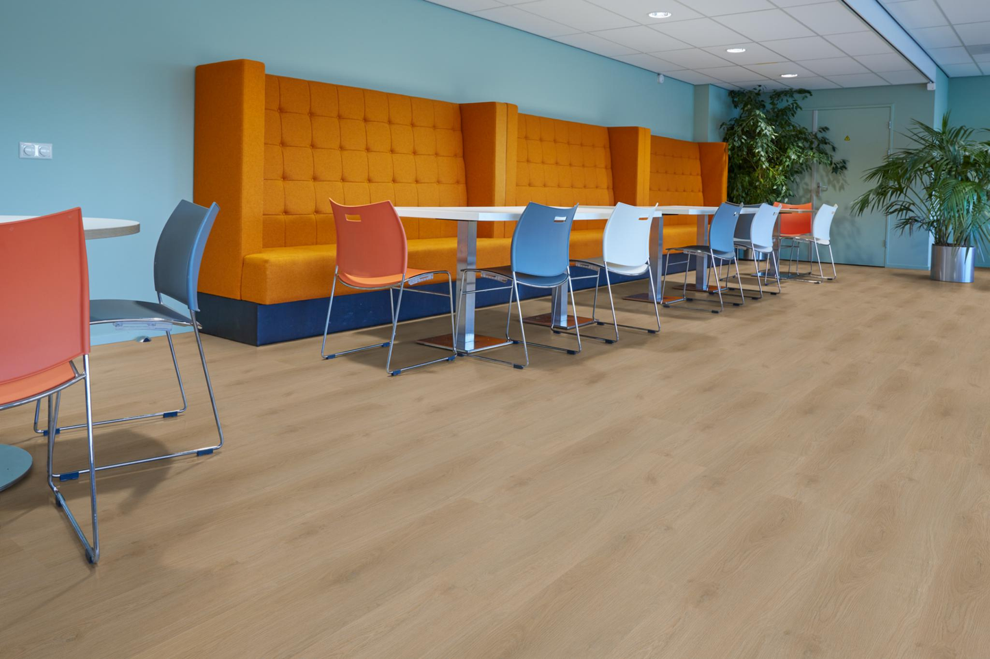 P440 dryback natural oak