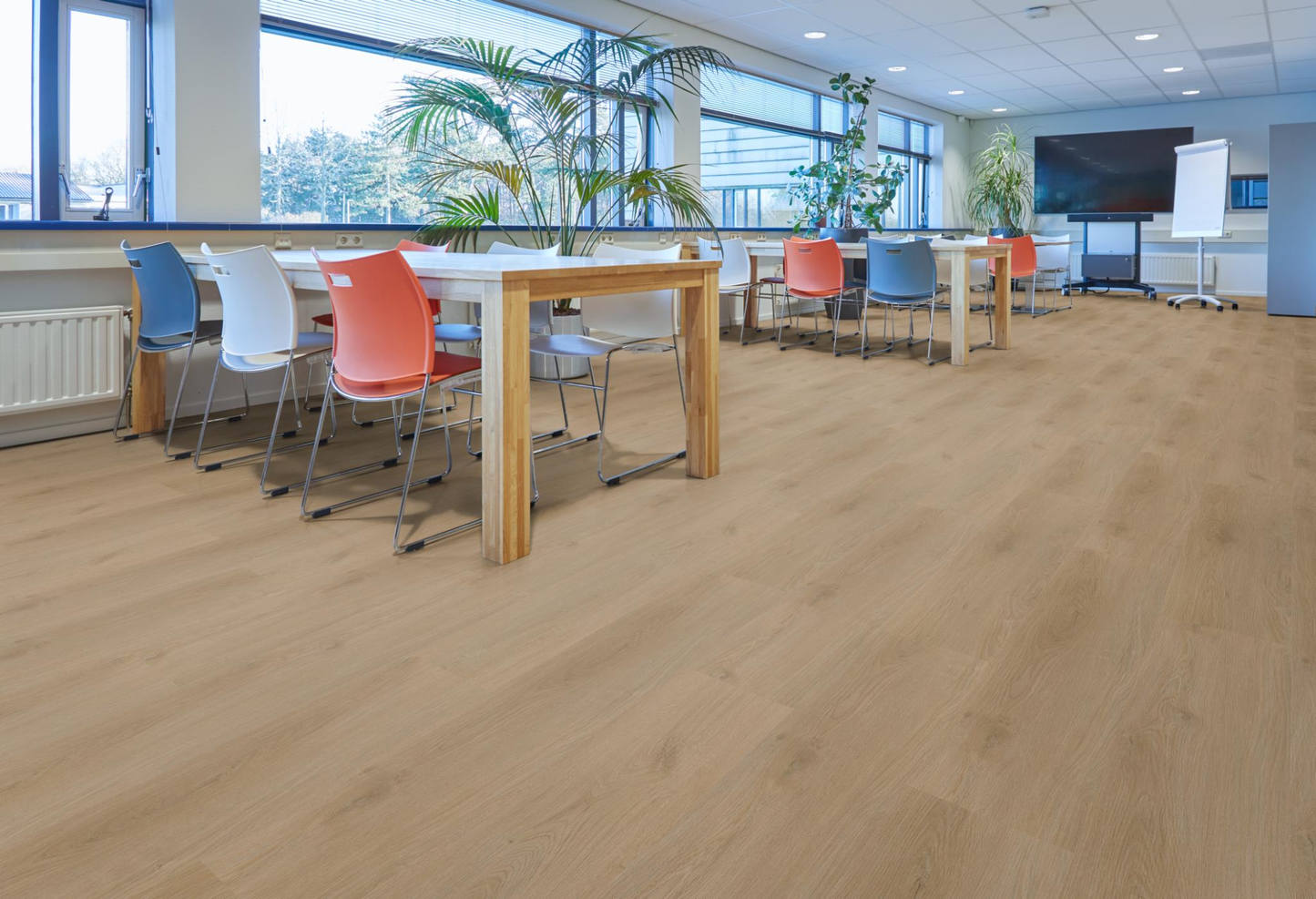 P440 dryback natural oak