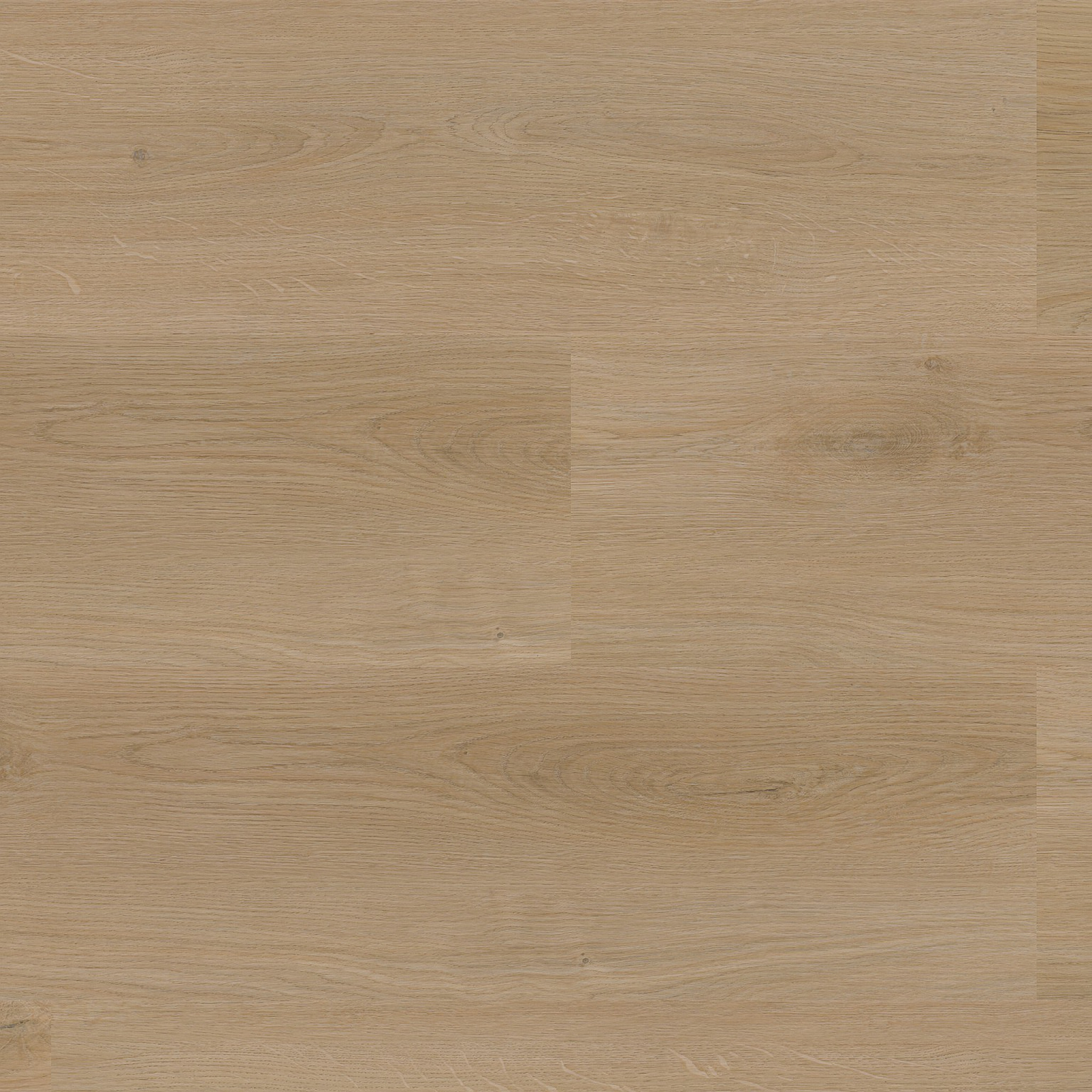 P440 dryback natural oak