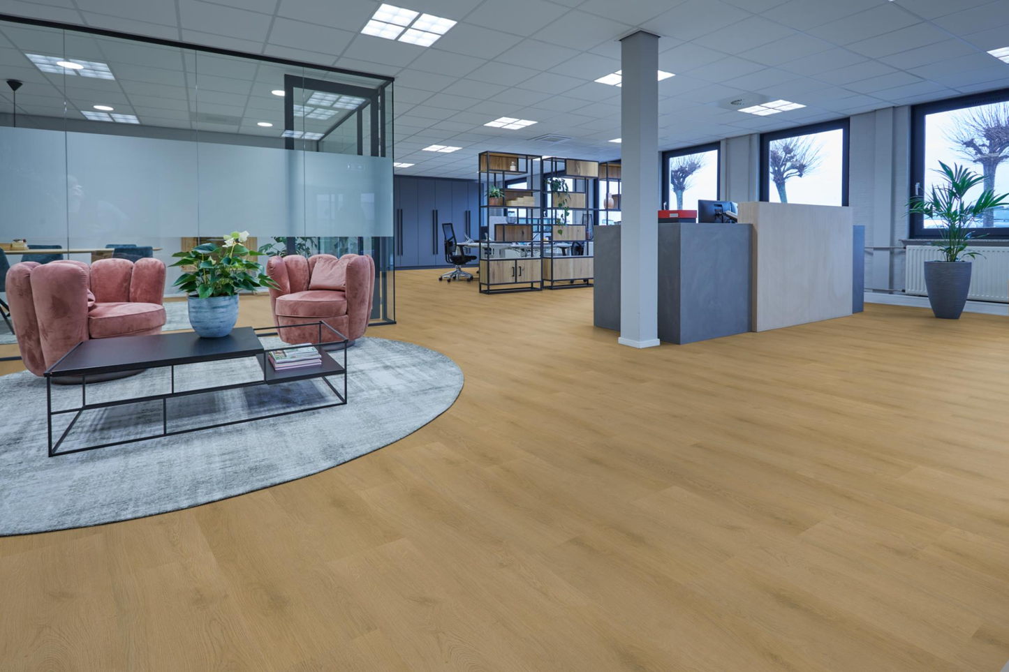 P445 click light oak