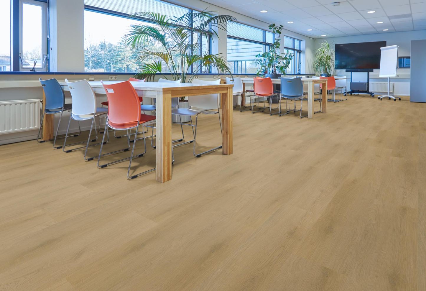 P445 click light oak