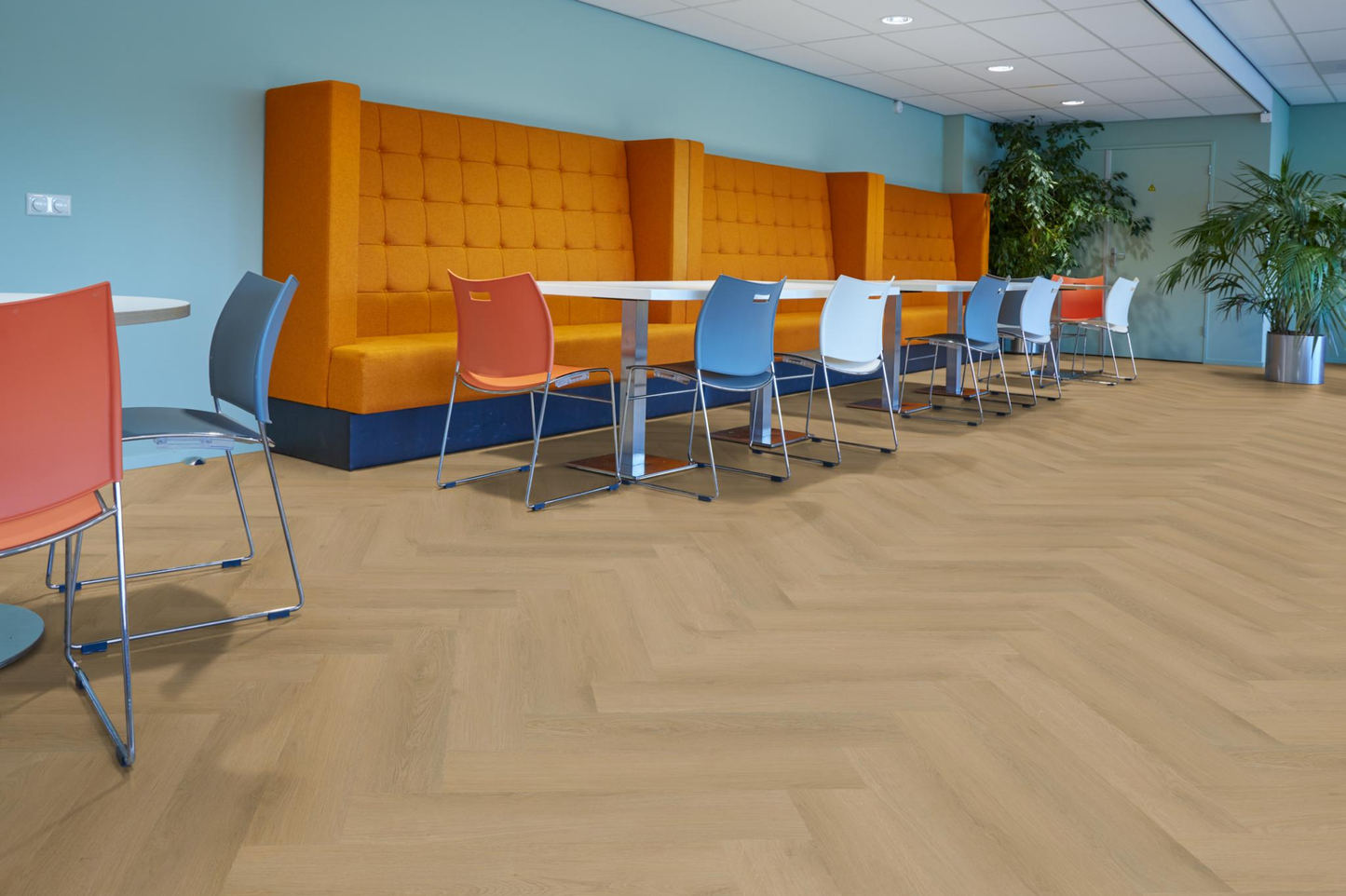 P645 visgraat click light oak