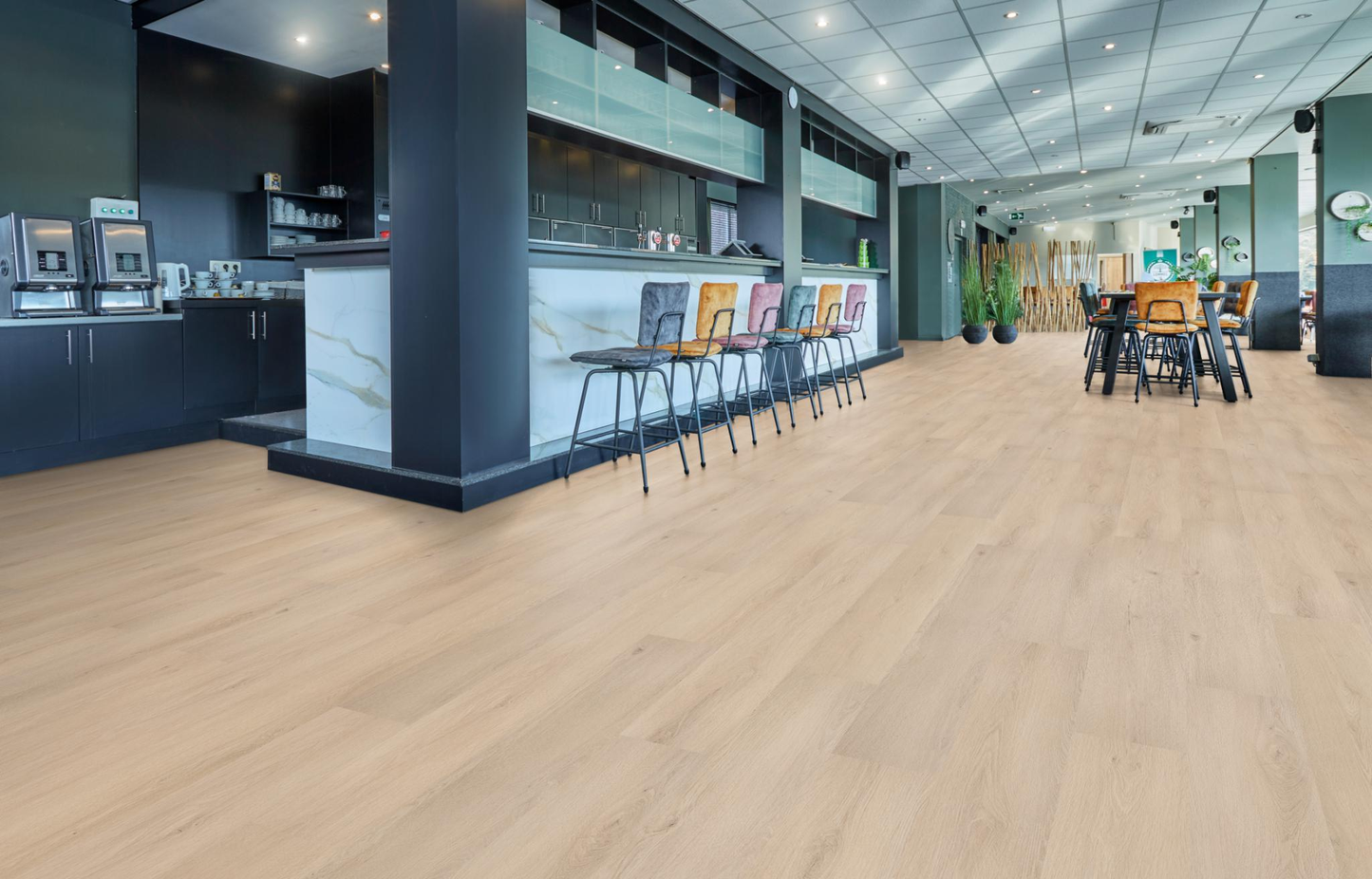 P500 dryback light oak