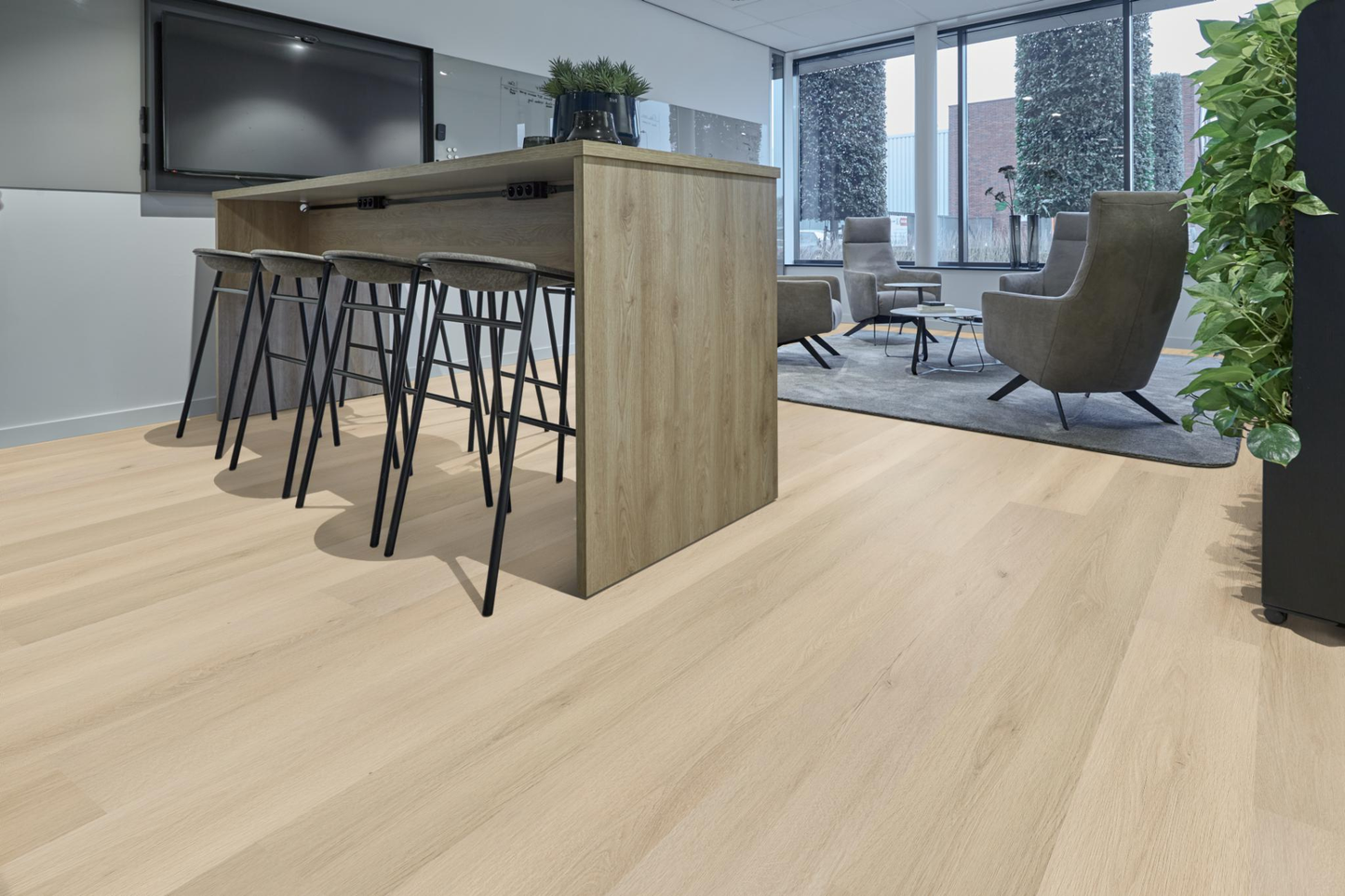 P500 dryback natural