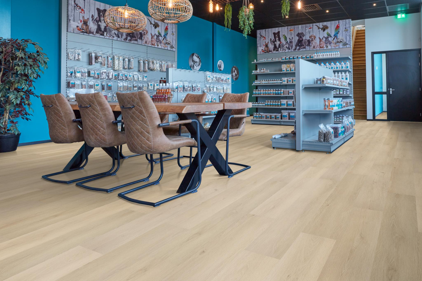 P500 dryback natural