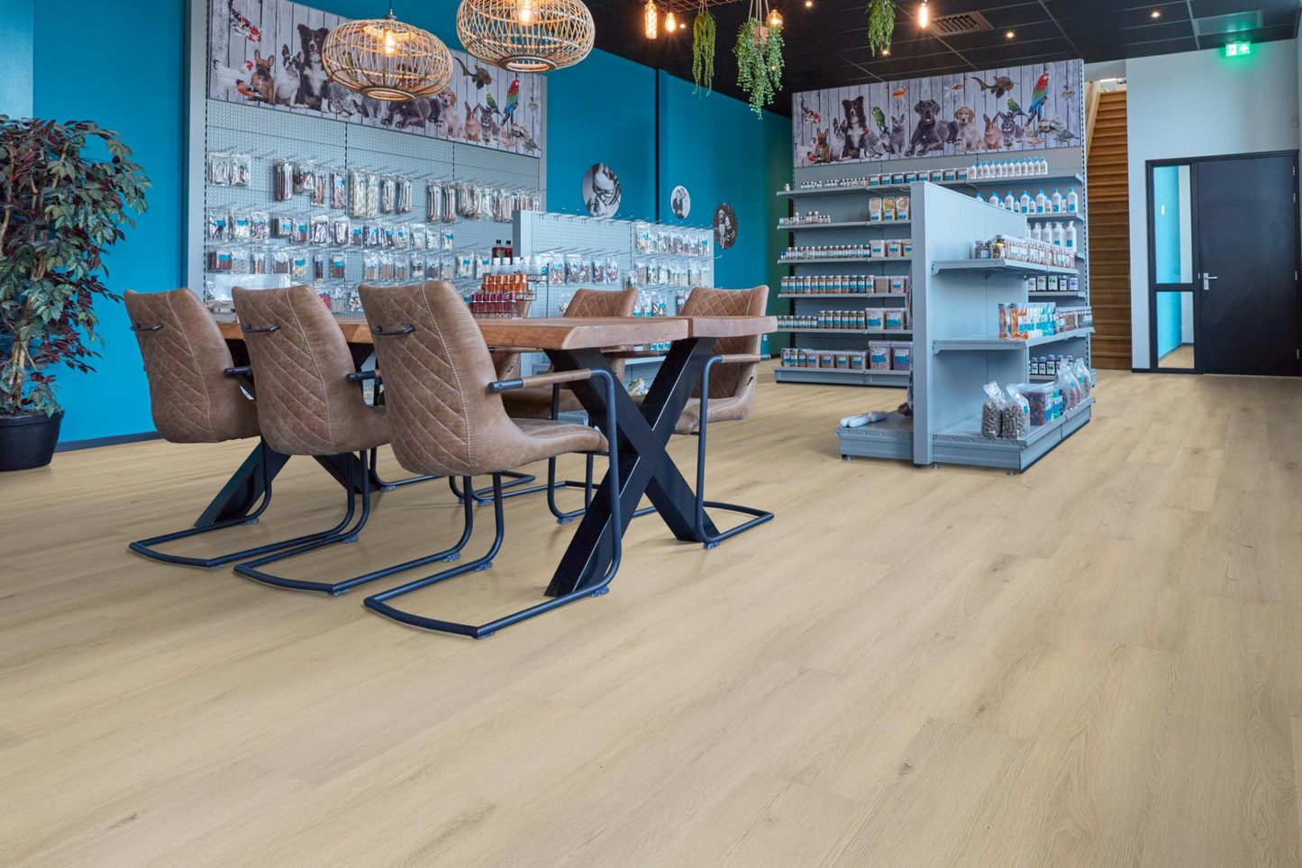 P500 dryback warm oak