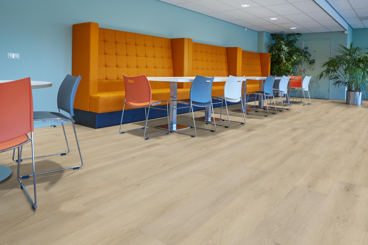 P500 dryback warm oak