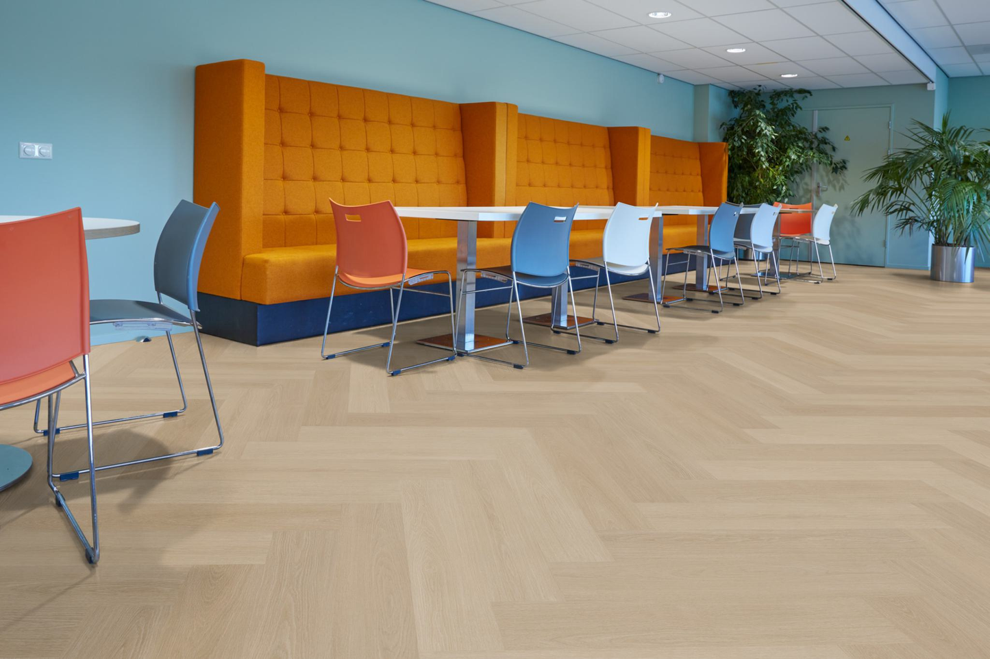 P710 visgraat dryback natural