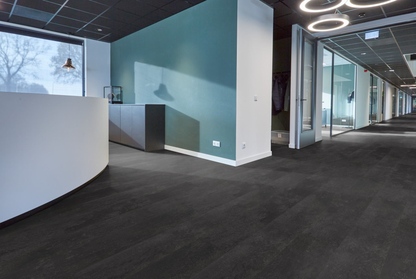 P370 dryback anthracite