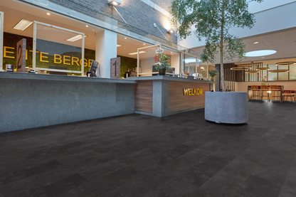 P370 dryback anthracite