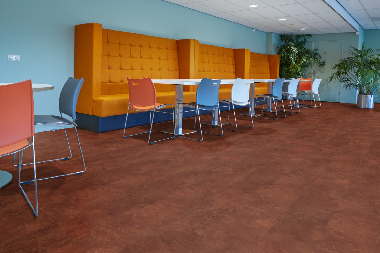 P370 dryback dark orange