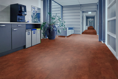 P370 dryback dark orange