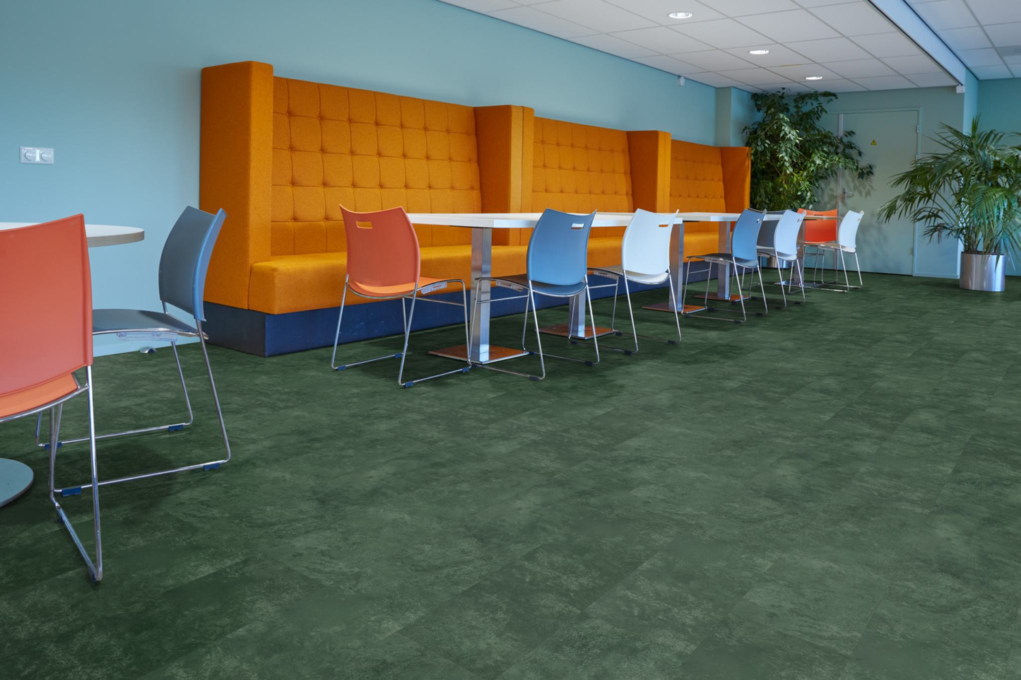 P370 dryback dark green