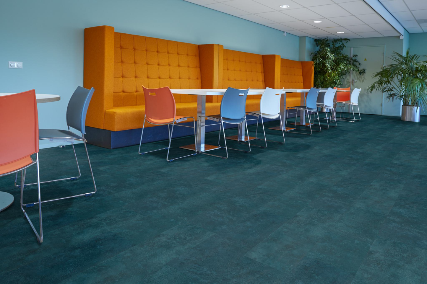 P370 dryback dark blue