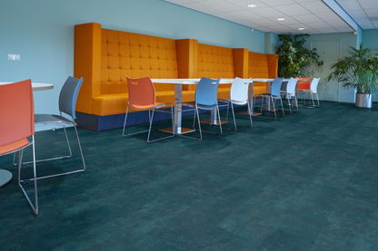 P370 dryback dark blue