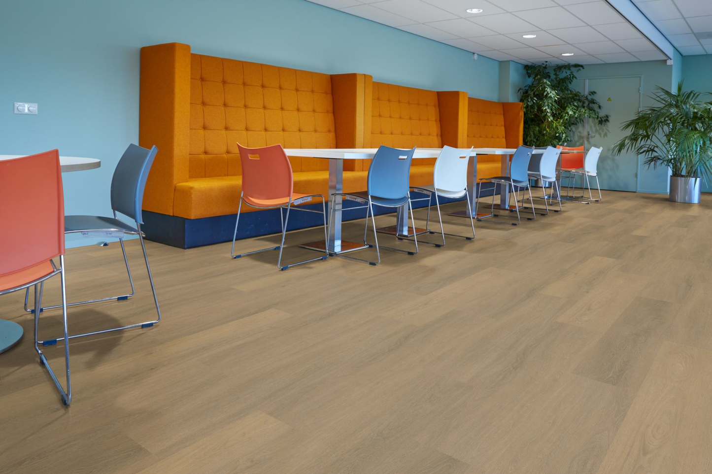 P495 click SRC warm natural