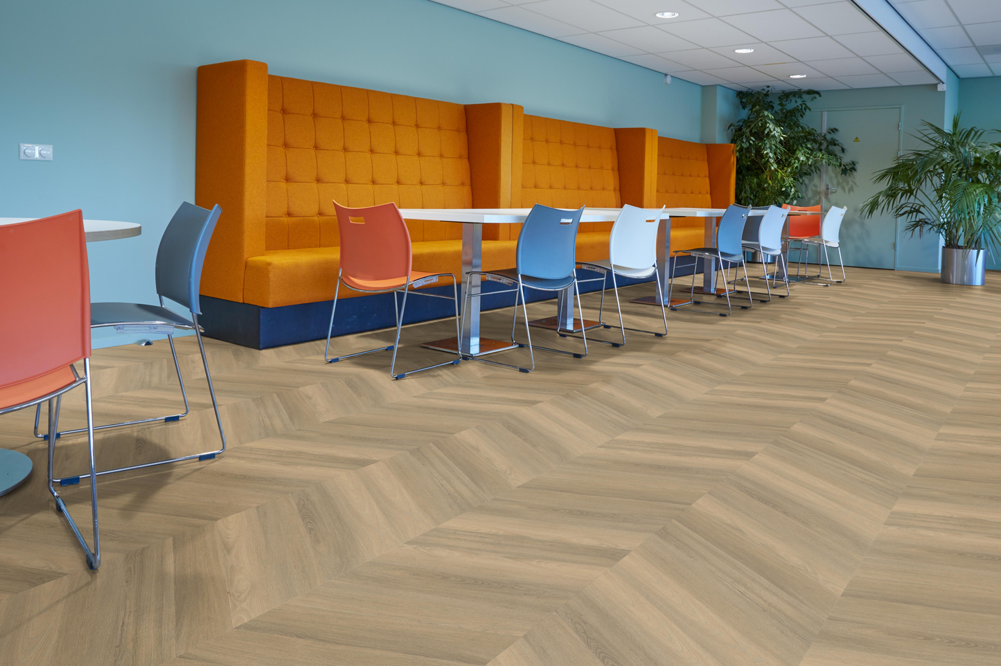 P603 hongaarse punt dryback natural