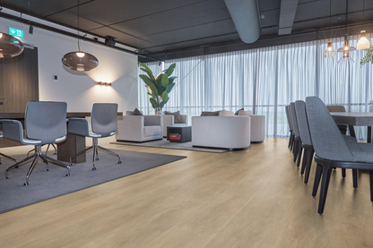 P430 dryback naturel