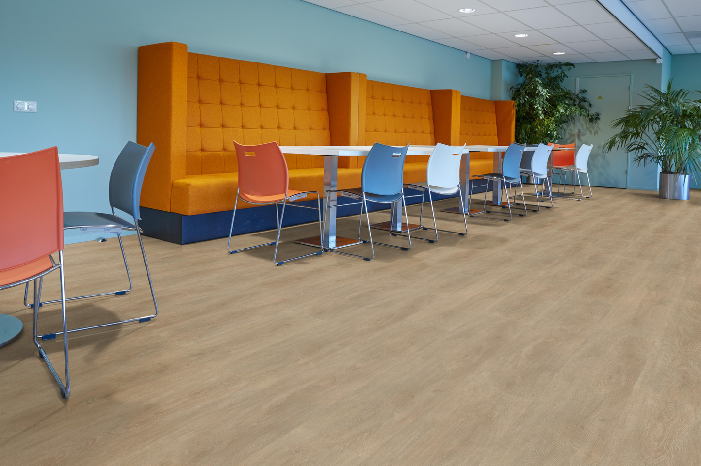 P430 dryback naturel