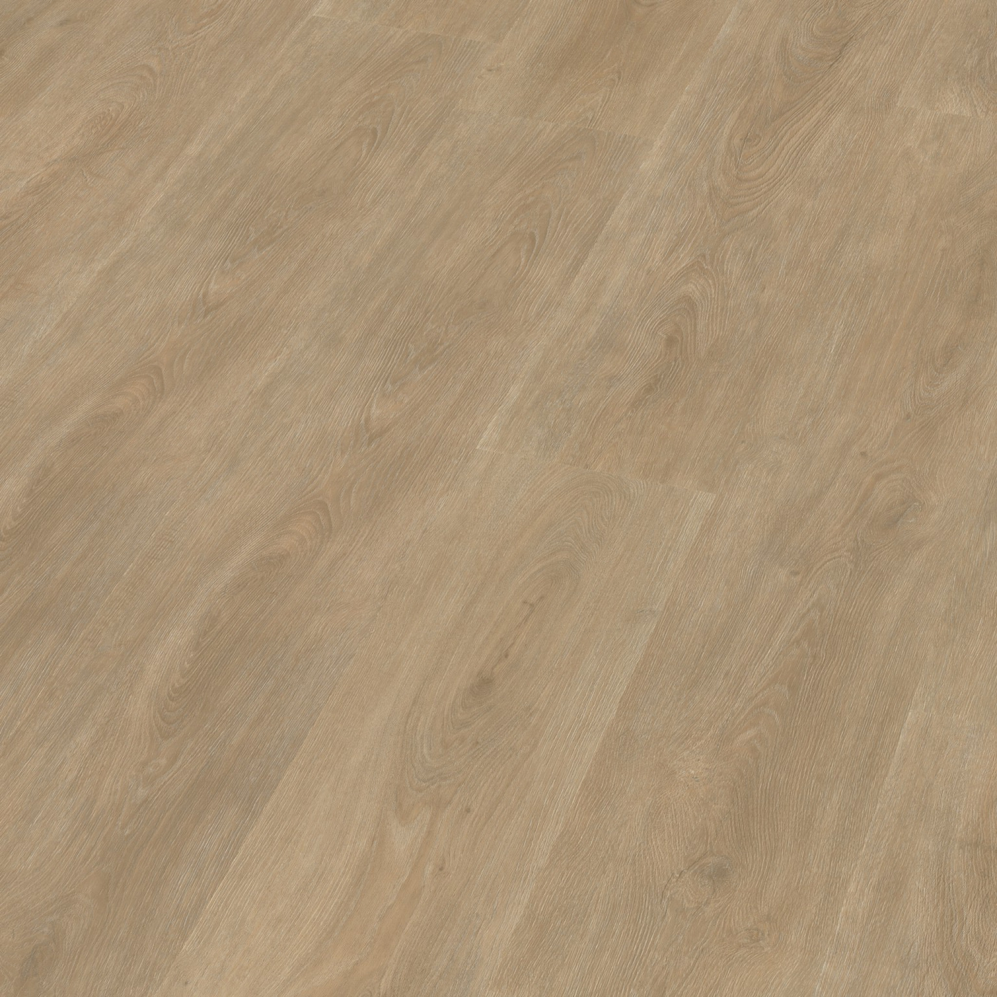 P430 dryback naturel