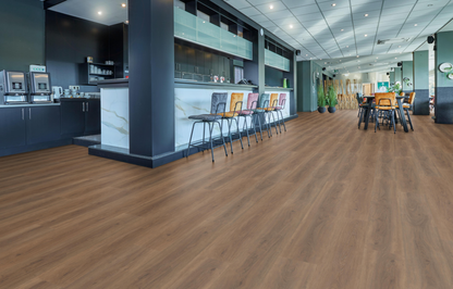 P430 dryback warm brown