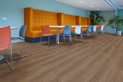 P430 dryback warm brown