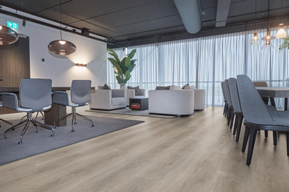 P430 dryback light grey