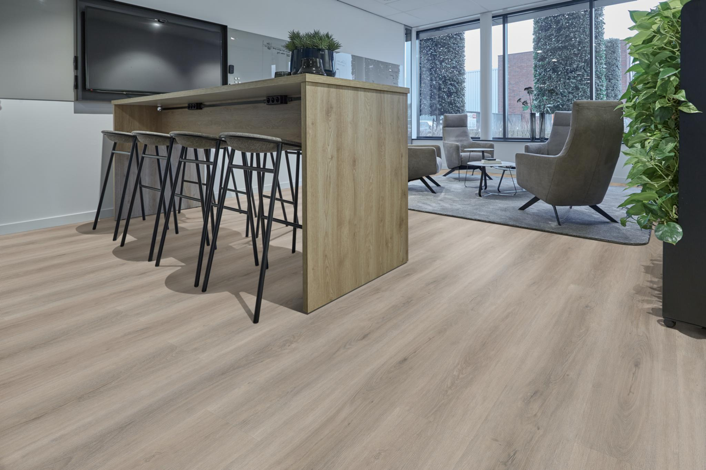 P430 dryback light grey