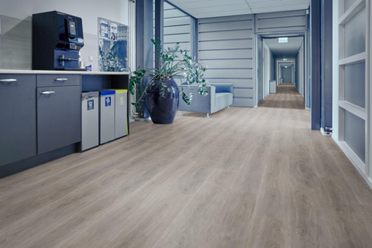 P430 dryback grey oak