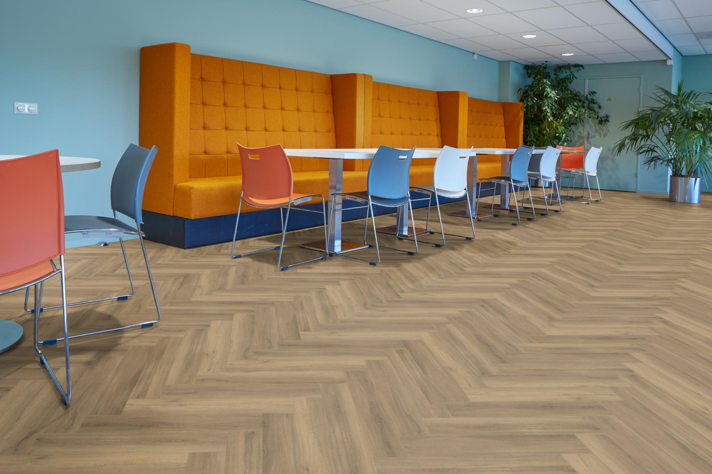 P600 visgraat dryback natural