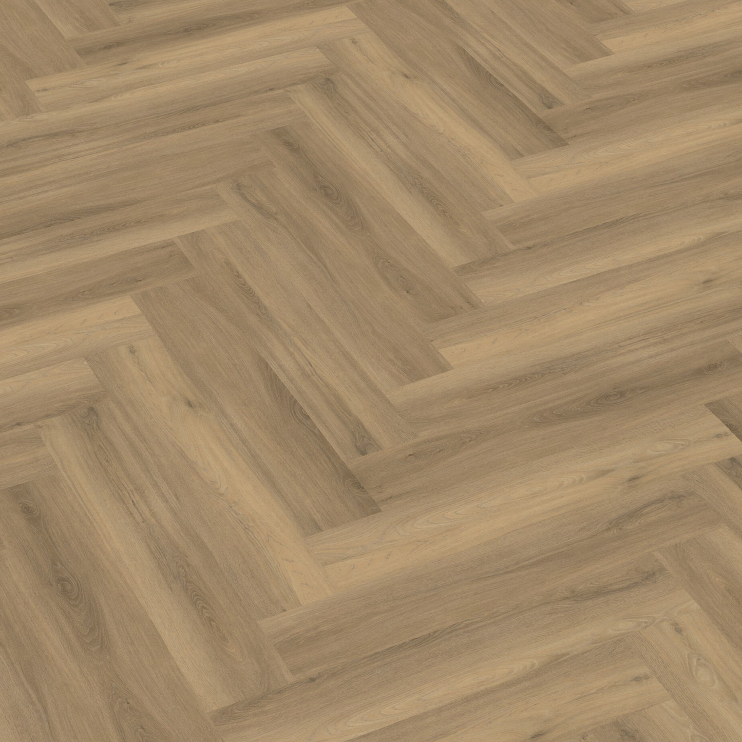 P600 visgraat dryback natural